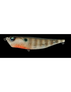Radscale color Baby Gill