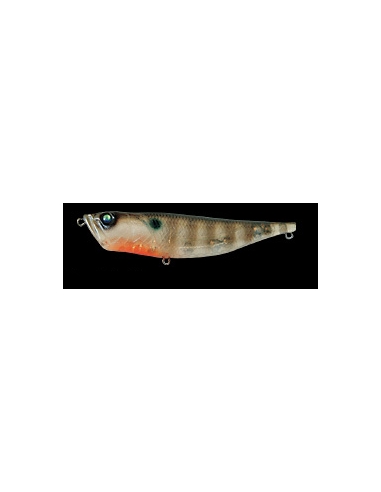 Radscale color Baby Gill