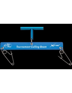 BPS Culling Beam