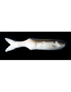 Shadow 4 1/2" color Threadfin Shad