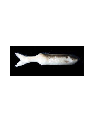Shadow 4 1/2" color Threadfin Shad