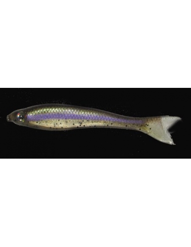 Fat Minnow SJB 4,5" (113mm) color Trout