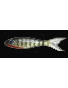 Bait Fry 3" (75mm) color Perch