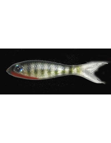 Bait Fry 3" (75mm) color Perch