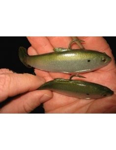 Shad color Green