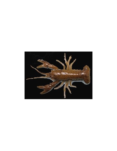 Pre-rigged Huddle-bug color Mudbug