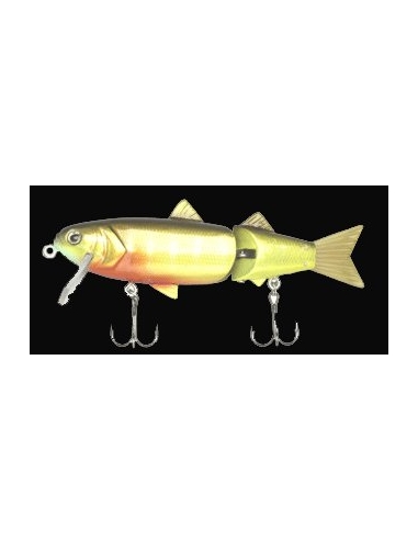 MaderAlive color Sun Fish