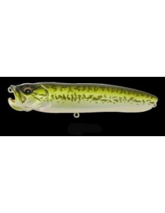 X-Pod color PM Bass