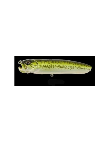 X-Pod color PM Bass