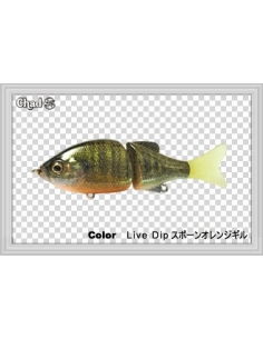Chad S color Blue Gill