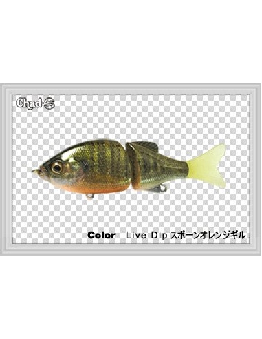 Chad S color Blue Gill
