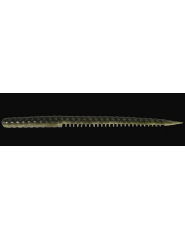 Sidus 145 color Alburno Shad