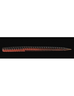 Sidus 145 color Bloody Pumpkin