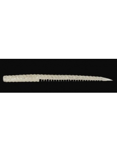Sidus 145 color White Shad