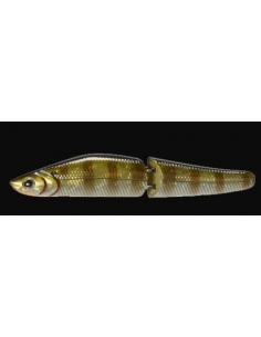 Jubar color Gill