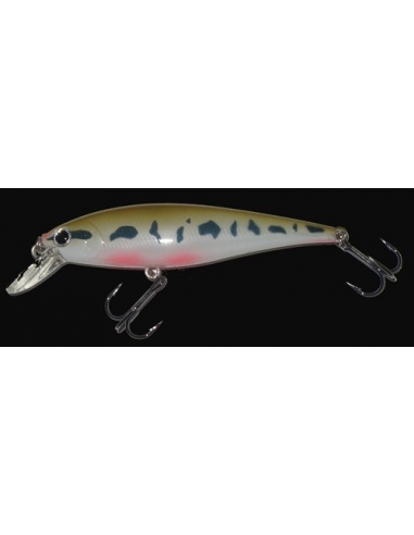 Pointer 78 color Pearl Vairon