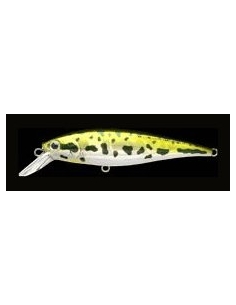 Pointer 78 color Aurora Bass