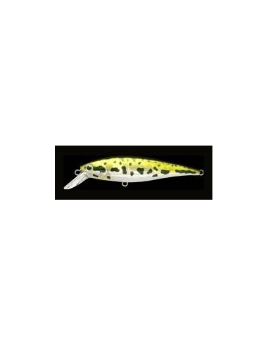 Pointer 78 color Aurora Bass