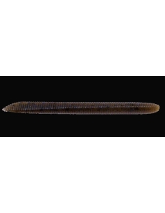 Minnow Shape 3" (75mm) color Cinnamon-Pro Blue Natural