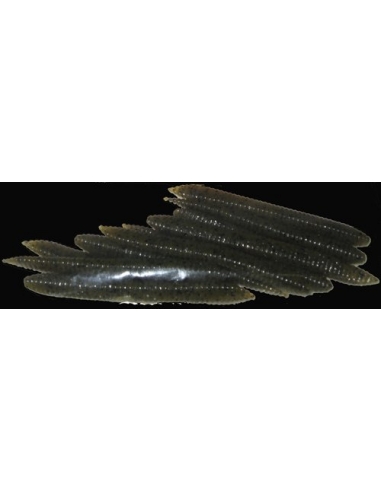 Minnow Shape 4" (100mm) Light color Light Green Pumpkin