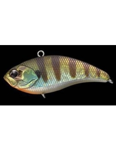 Whizzer color Baby Gill