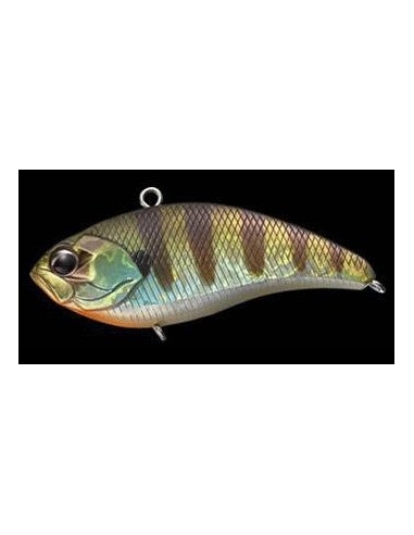 Whizzer color Baby Gill