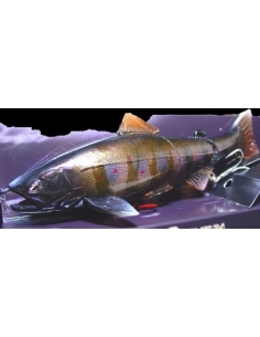 Real Bait Premiun color Koninshoku