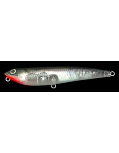 Dog X color NC Minnow