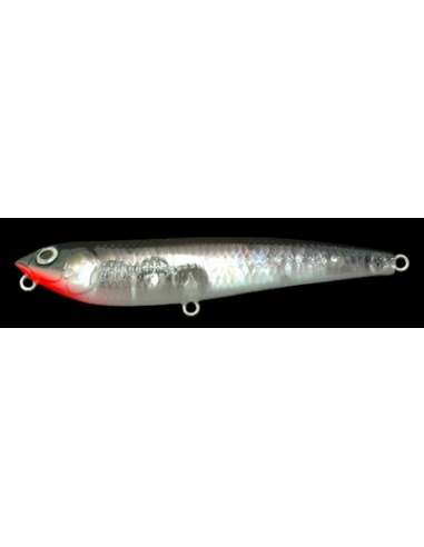 Dog X color NC Minnow