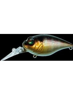 Quiet Griffon MR-X color PM Gill