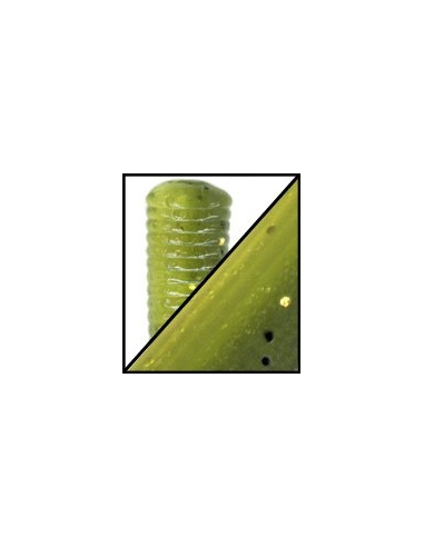 Shad Shape Worm color 939-Baby Bass/Crystal Clear Lam