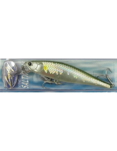 Pointer 100 SW color MS Ghost Ayu