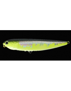 Sammy 100 color MS Crack