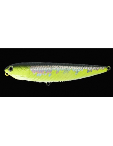 Sammy 100 color MS Crack