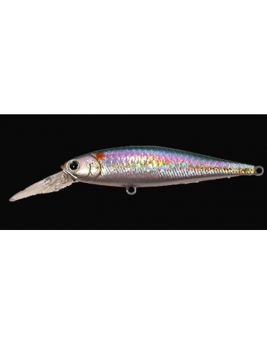 Pointer 100 DD color MS American Shad