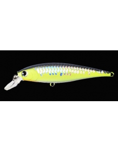 Pointer 78 DD color MS Crack