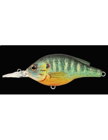 Pumpkinseed