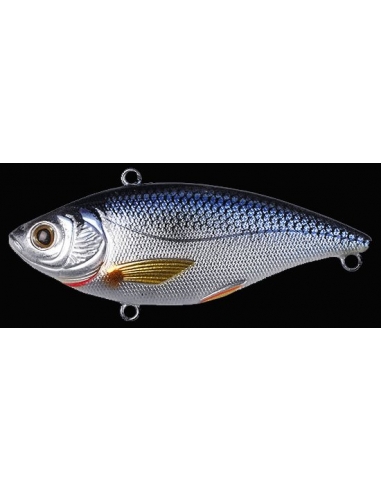 Golden Shiner color Silver Blue