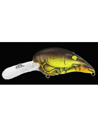 Crawfish 1,5-1,8m color Mustard Brown