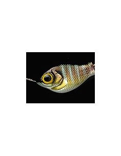 V-3 Bullet Shad color Gill
