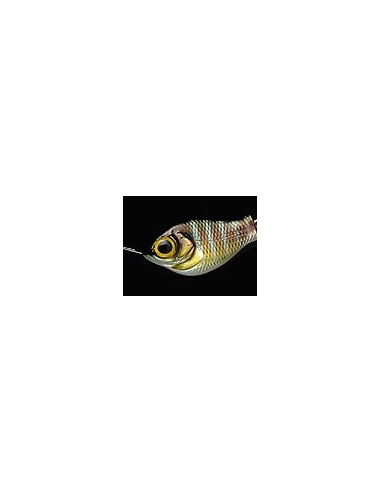 V-3 Bullet Shad color Gill