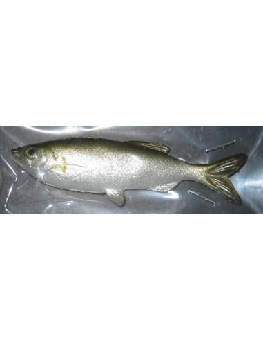 Grass Minnow color Ayu