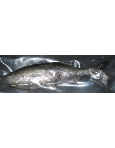 Grass Minnow color Phantom Smoke