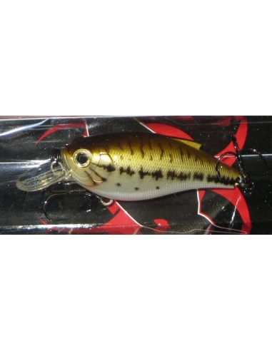 Mogul Type-R 60 SR color Ghost Bass