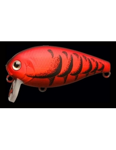 CB-001 color Mad Craw