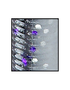 Swimin´Senko 5" color 927 Smoke LG Purple Black/031 (Pearl Blue)