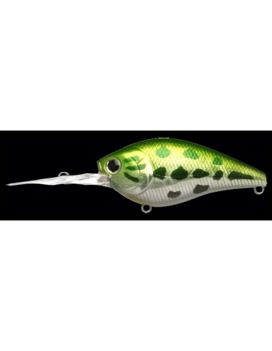 Flat CB DR color Aurora Bass