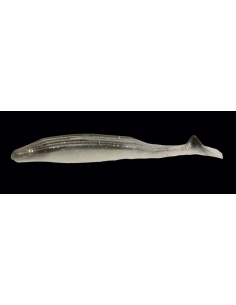 Swimin´Super Fluke color Smokin´Shad