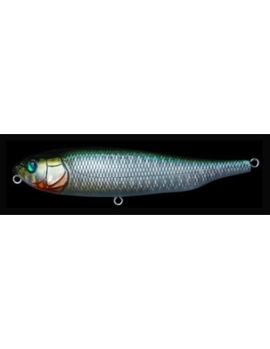 Gigant Dog X color SW GG Megabass Kibinago