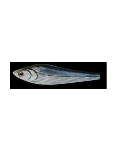 Punitor color Silver Bait